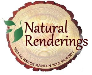 Natural Renderings Color Logo